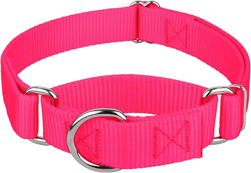 Country Brook Petz Martingale Dog Collar, Heavy-Duty Training Collar, Hot Pink, 1 Inch, Large