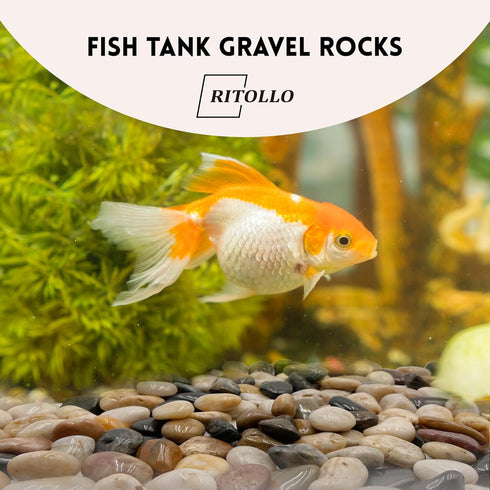 6 Pound Pebbles, 1-3cm Pea Gravel River Rocks for Indoor Plants and Fish Tank Aquariums
