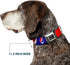 Dog Collar Seatbelt Buckle, Steal Your Face Lightning Bolt Repeat, Red White Blue, 18 to 32 Inches, 1.5 Inch Wide