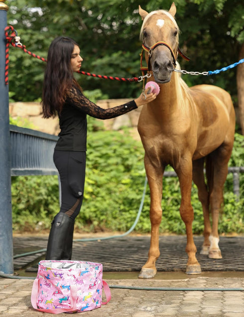 Set, 11-Piece Harrison Howard Complete Horse Grooming Advanced Daily Grooming Tools with Extra Brushes for Full Horse
