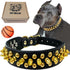 TEEMERRYCA Black Leather Dog Collar with Gold Spikes for Small Medium Large Pets, Pit Bulls/Bulldogs, XS (8.3"-10.6")
