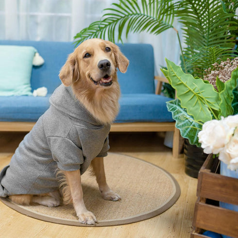 SCENEREAL Dog Hoodie Sweaters for Small Medium Large Dogs, Fleece Sweatshirt with Hat and Pocket, Grey (M)