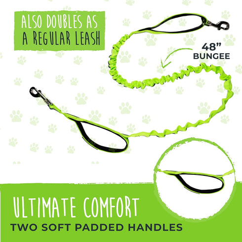 Mighty Paw Hands Free Dog Leash | Bungee Waist Leash for Walking, Running, Up to 150 lbs, 36" - 48"