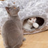 LUCKITTY Geometric Cat Tunnel Bed - Collapsible Oxford Tunnel Tube with Plush Inside for Dogs and Cats