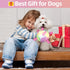 Dog Toys Soccer Ball with Straps, Durable Tug of War Balls, 5 Inch Puppy Birthday Gifts, Dog Water Toy for Small Dogs