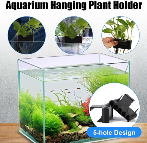 2pcs Aquarium Plant Holder, 5 Holes Top Rimmed Floating Planter Box for Fish Tank Decorations
