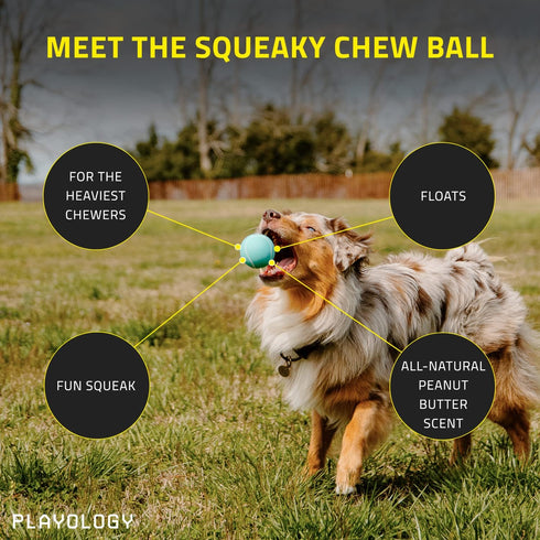 Playology Squeaky Chew Ball for Dogs - Engaging All Natural Peanut Butter Scented Dog Toy for Small Dogs (up to 10 pounds) Value 3-Pack- Squeak, Bounce, Fetch, and Play!