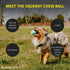 Playology Squeaky Chew Ball for Dogs - Engaging All Natural Peanut Butter Scented Dog Toy for Small Dogs (up to 10 pounds) Value 3-Pack- Squeak, Bounce, Fetch, and Play!