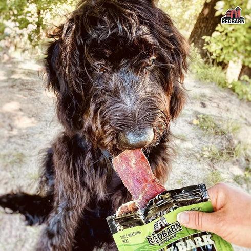 Redbarn All-Natural Barky Bark Beef Jerky for Dogs, Medium 4-5" Strips, 6 Count