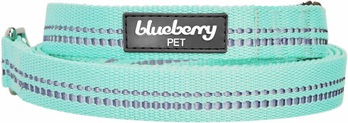 Blueberry Pet 3M Reflective Pastel Color Dog Leash with Soft Comfortable Handle, 5 ft x 3/4", Mint Blue, Medium