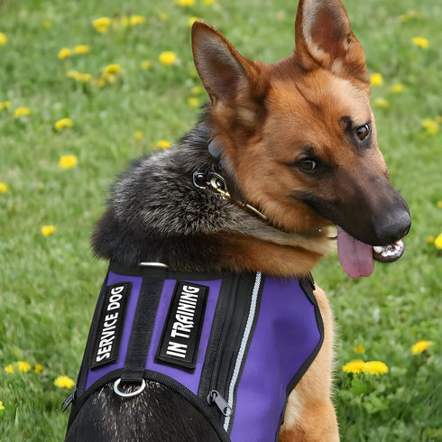 4 PCS Tactical Dog Patches with Hook Backing, Reflective SERVICE DOG and IN TRAINING Tags