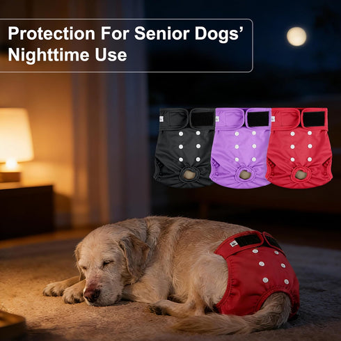 (Pack 3) Female Dog Diapers - Reusable Diapers for Doggie in Heat - Highly Absorbent for Pet Incontinence
