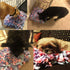 LIVEKEY Pet Snuffle Mat for Dogs, Dog Feeding Mat, Nosework Training Mats for Foraging Instinct Interactive Puzzle Toys