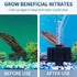 30 Pawfly Aquarium Bio Sponge Filter Quiet Betta Fry Shrimp and Small Fish Foam Filter for Fish Tank up to Gallons