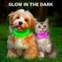BSEEN Light Up Dog Collars, Rechargeable LED Puppy Collar, Glowing TPU Cuttable Collar for Small Medium Large Dogs (XS,
