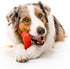 Playology Dog Toys Dual Layer Bone Chew Toy - Durable Rubber for Large Dogs - Beef Scented Red Toy Bones Made from Non
