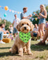50 Pack Set PET SHOW Paw Pattern Small Dog Bandanas Bulk XS Washable Puppy Girl Boy Triangle Bibs Kerchief Cats Scarves