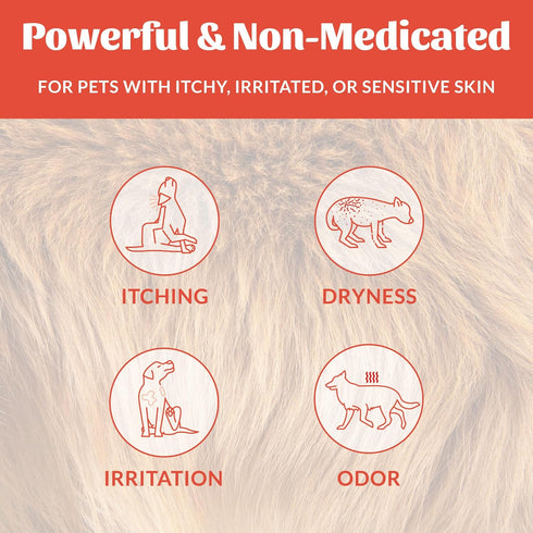 3's, 16 Oz SKOUT'S HONOR Probiotic Itch Relief Shampoo for Pets - Non-Medicated, Fragrance-Free, Paraben