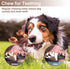 PETSTA Indestructible Dog Toys for Aggressive Chewers, Real Beef Flavored Dog Bone for Large and Medium Breeds