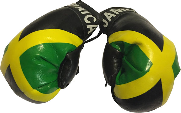 Flag Mini Small Boxing Gloves for Car Mirror - Americas
