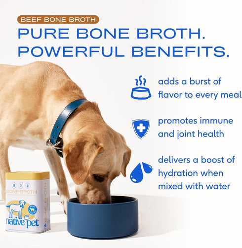 Immunity Health-192 Native Pet Bone Broth for Dogs and Cats - Made with Real Beef Bone Broth, Dog Food Toppers