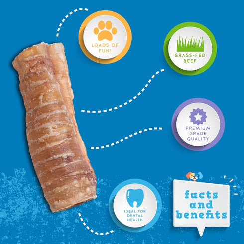 6" 20 Pack Jack&Pup Beef Trachea for Dogs | All Natural Single Ingredient Dog Treat Dog Trachea Chews | Savory and Fun