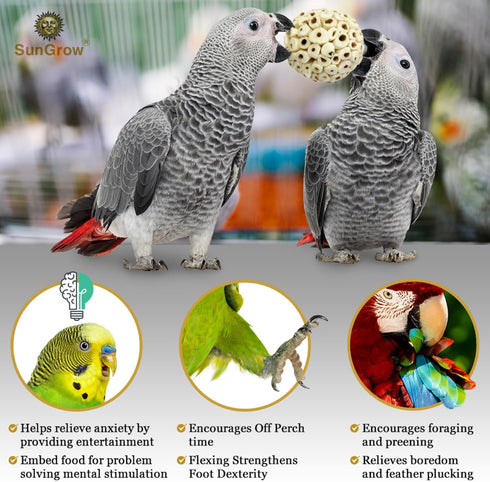 SunGrow Sola Atta Foraging Balls, 2”, White Soft Shred Parrot Chews, 3 Pcs/Pack for Small Pets