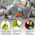 SunGrow Sola Atta Foraging Balls, 2”, White Soft Shred Parrot Chews, 3 Pcs/Pack for Small Pets