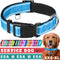 TECEUM Reflective Pet Collar – Basic Nylon Dog Collar – Quick Release Buckle – Sky Blue – M – Extra Soft Padding – Fits