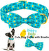 ARING PET Easter Dog Collar - Adorable Chick Design with Adjustable Bowtie and Metal Buckle.