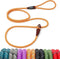 Fida Durable Slip Lead Dog Leash, 6 FT x 3/8" Heavy Duty Loop Leash for Small Dogs and Puppies, Reflective (3/8",