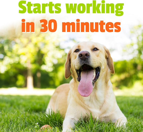 Pet Naturals BusyButter Extra Strength Calming Peanut Butter with Melatonin for Dogs - Great for Treats and Training