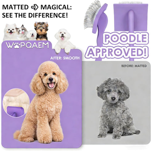 Slicker Brush for Dogs, Large Dog Brush to Long Haired Dogs for Poodles Doodles Goldendoodles Bernedoodles, Long Pin