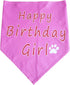 PET SHOW Pink Dogs 1st Birthday Hats and Bandanas Set, 1-Year-Old Photo Props, Party Costume Grooming Accessories