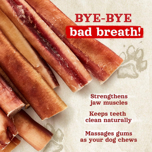 Natural Farm Odor-Free Thick Bully Sticks, 6”, 5-Pack, All-Natural Long-Lasting Dog Chews, 100% Beef Pizzle