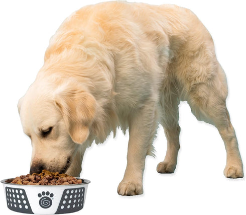 PetRageous 15002 Fiji Stainless Steel Non-Slip Dog Bowl, 6.5-Cup Capacity, 8.5-inch Diameter, White & Slate Blue