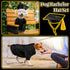 Dog Graduation Cap and Gown Costume Class of 2024, Washable Dog Graduation Shirt with Pet Graduation Hat for Dog Cat