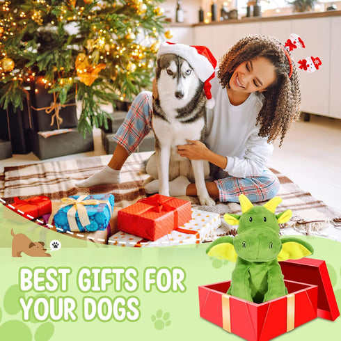 Squeaky Plush Dog Toy with Crinkle Paper, Durable Chew Toys for Small, Medium, and Large Dogs