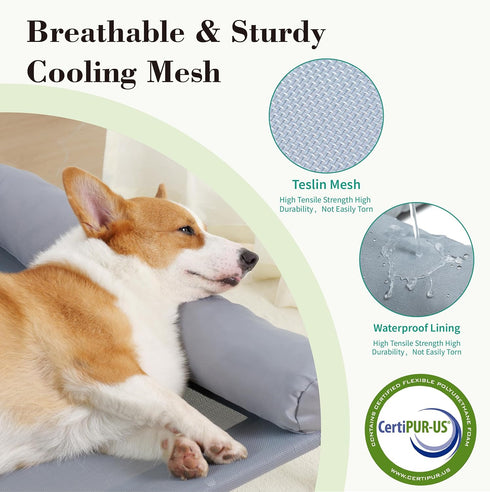 Cooling Elevated Dog Bed with Pillows - Portable Washable Raised Dog Cot with Chew Proof Mesh, Medium, Gray