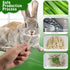 1000g Chinchilla BWOGUE Pet Snacks Sweet Bamboo Chew Toy for Squirrel Rabbits Guinea Pigs Hamster