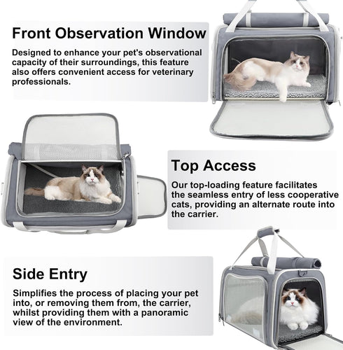Texsens Pet Carrier - Soft-Sided Cat Carrier for Small/Medium/Large Cats & Puppies Up to 16 lbs, TSA Approved (Grey)
