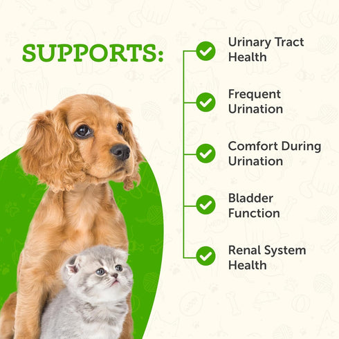 Animal Essentials Tinkle Tonic for Dogs & Cats - Urinary Tract Support, 1 fl oz