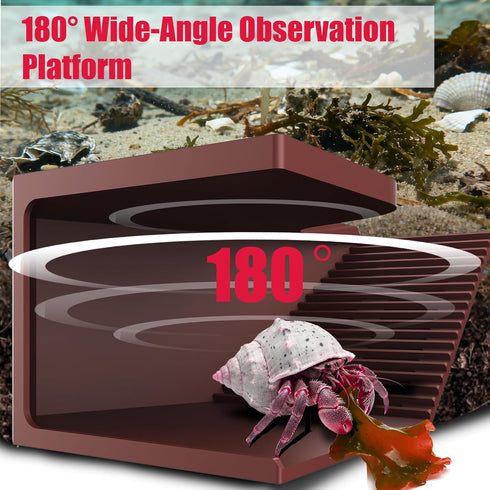 UNISOLODECHO Hermit Crab Hideout with Climbing Tunnel | Hermit Crab Climbing Toys| Hermit Crab Water Tank Accessories