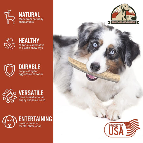 Heartland Elk Antlers for Dogs - Grade A Naturally Shed Antlers | Chew Toy for Aggressive Chewers & Teething Puppies