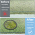 5 Pcs Aquarium Floating Plant Corral, Black Feeding Ring for Intercepts Floating Plants and Fish