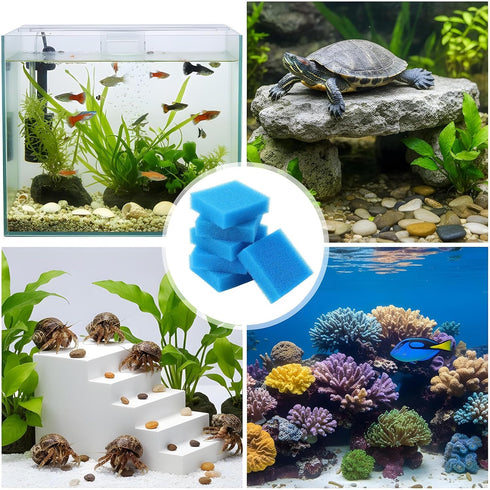 DOPENSPI 6PCS 3.23.21 Aquarium Glass Cleaner Sponge, Non-Scratch Fish Tank Cleaning Sponge Fish Tank Walls Cleaner
