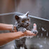 Eye Envy Moisturizing Pet Shampoo 16oz | Gentle, Fragrance Free, Cleans, Softens, Adds Shine, Safe for Puppies & Kittens