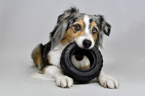 Mammoth Pet Products TireBiter Dog Toy II, 5 Inch, 43735008