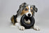 Mammoth Pet Products TireBiter Dog Toy II, 5 Inch, 43735008