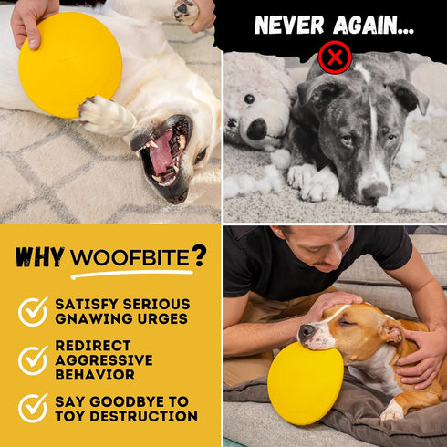 Indestructible Dog Disc, Lifetime Replacement, Heavy Duty Natural Rubber Toy for Medium & Large Breeds